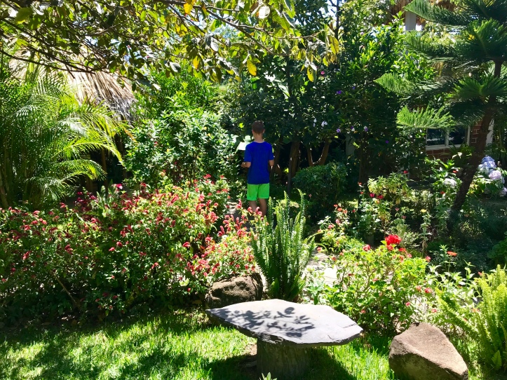 Gardens at Cooperativa Spanish School in San Pedro La Laguna, Guatemala